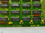 CEGELEC 8332-4001 Counter - Data Collection Interface