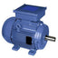 HYOSUNG TEAO-F Induction Motor AG334 | HYOSUNG