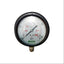0-4000 Psi Pressure Gauge Waaree