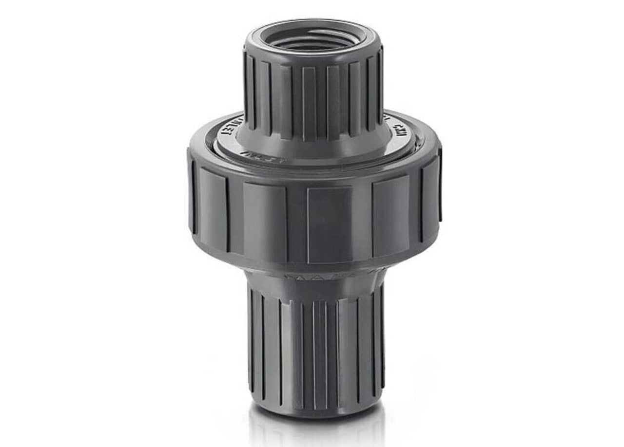 1/2 Inch Check Valve Plastomatic Ckm050V-PV | Plast-O-Matic Main image