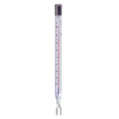 0-100°C Thermometer | Ludwig Schneider