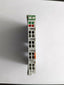 2-Channel Analog Input Module WAGO 750-476 | WAGO