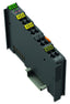 2-Channel Analog Input Module WAGO 750-492 | WAGO