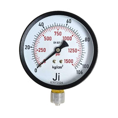 0-200 Psi Pressure Gauge Weiss | Back Panel Mount