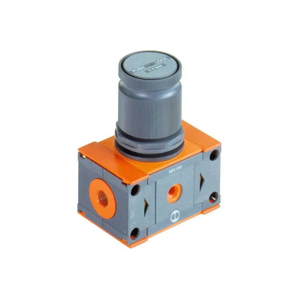 Air Pressure Regulator Skillair Reg 300 | Skillair Main image