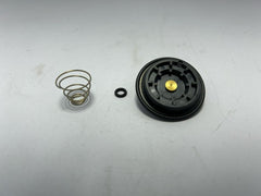 Air Vent Solenoid Valve Repair Kit 00224325 | Burkert