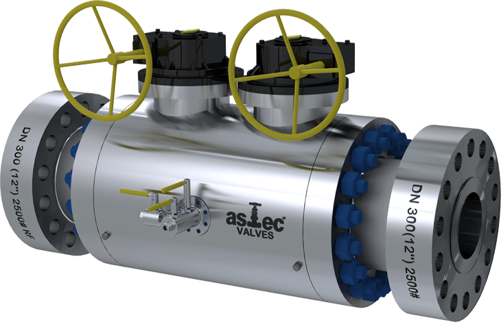 ASTEC SNVS SS316-NACE VALVE - CORROSION RESISTANT | ASTEC Main image