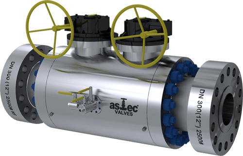 ASTEC SNVS SS316-NACE Valve – Corrosion Resistant Industrial Valve-Ram Automations