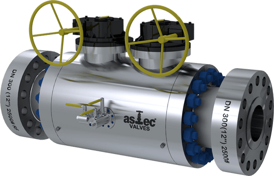 ASTEC SNVS SS316-NACE VALVE - CORROSION RESISTANT | ASTEC