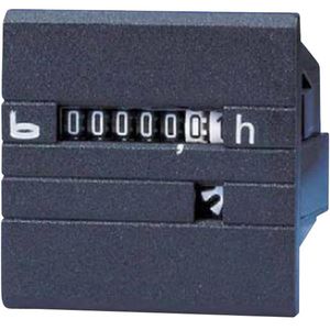 Bauser Timer for 10-80VDC Power Supply Main image