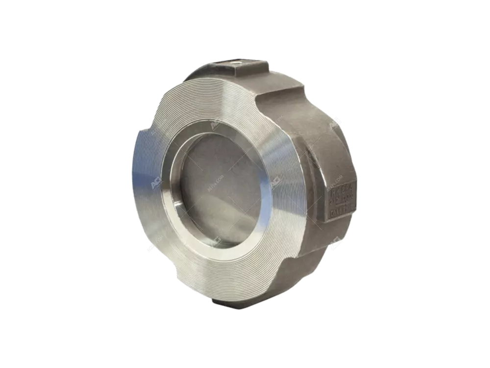 Check Valve RK 86 PN 6-40 | Gestra