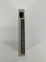 D/A Unit OMRON C500-DA101 | OMRON