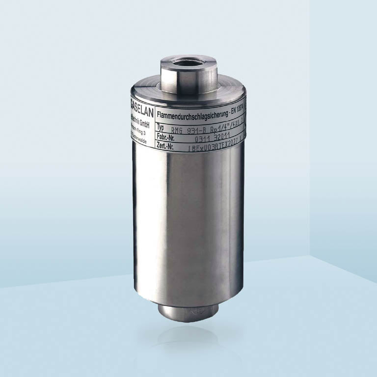 Flame Arrestor RMG-Gaselan Model RMG931-B