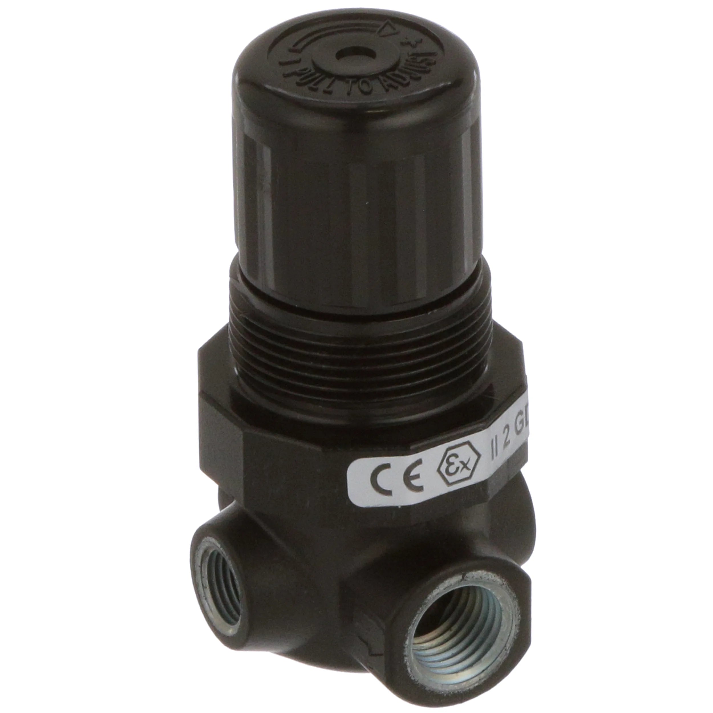 Pressure Regulator 300 PSIG Norgren R07-200Rnea Main image