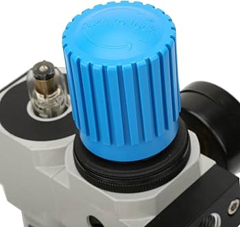 Pressure Regulator T080003030000 1/4 0-8 Bar | Aignep