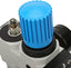 Pressure Regulator T080003030000 1/4 0-8 Bar | Aignep
