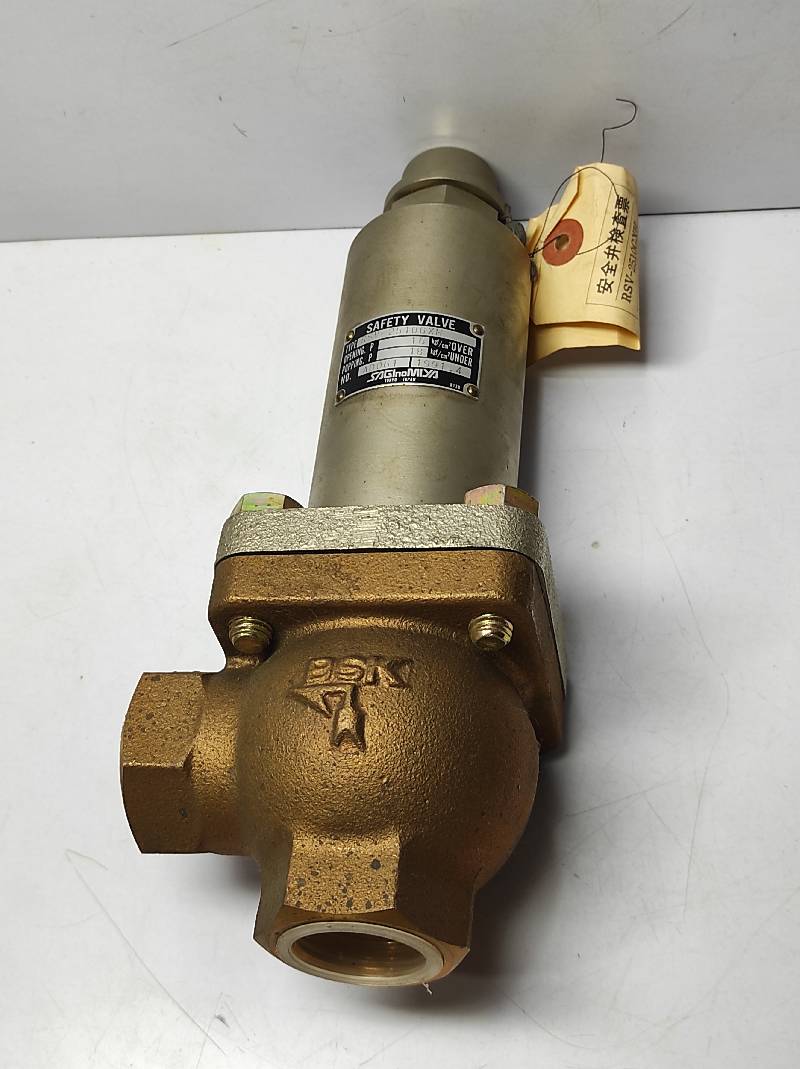Safety Valve - SAGINOMIYA RSV-2206GXH | Valve manufacturer Main image