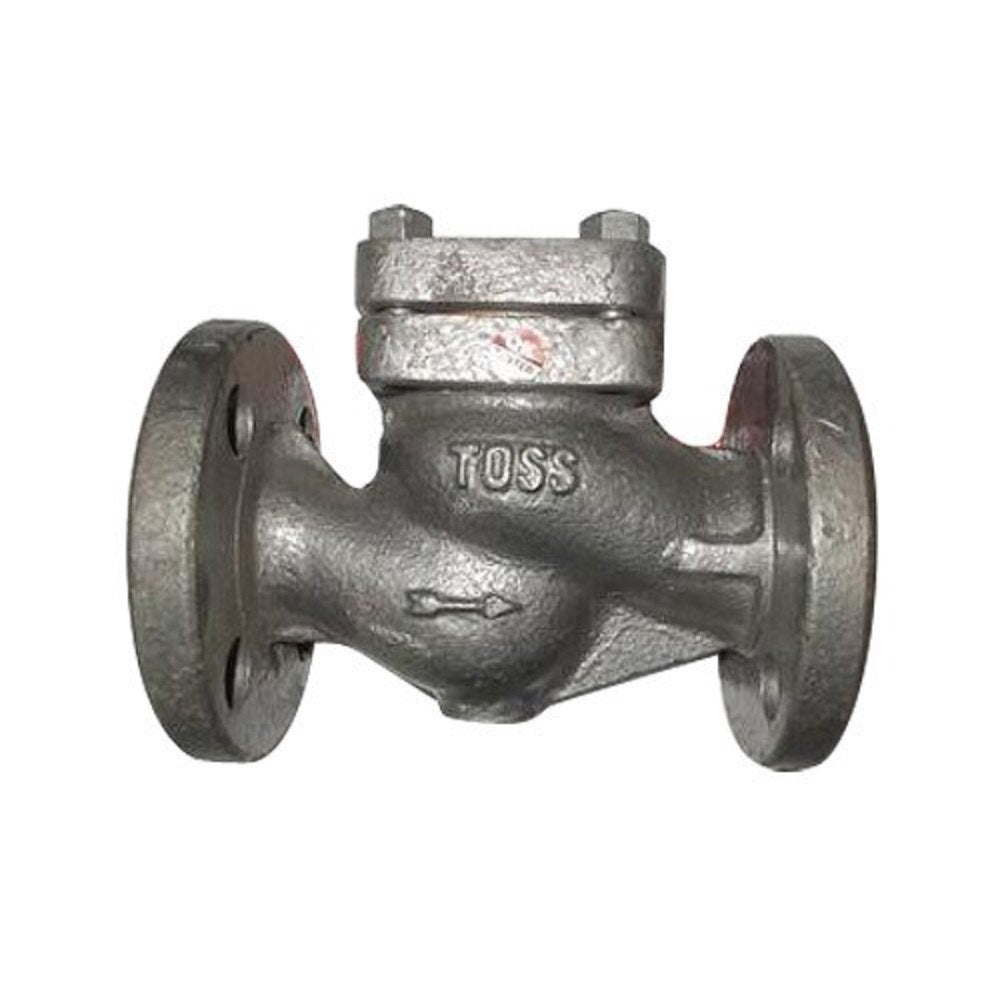 Stainless Steel Seat Check Valve 1.5 Inch 350 Psi Clayton 1000 Wog Main image