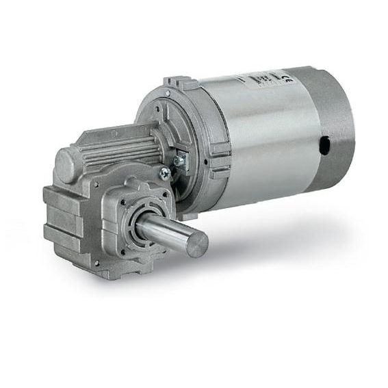 Worm Gear Motor Aompi40 | Amer